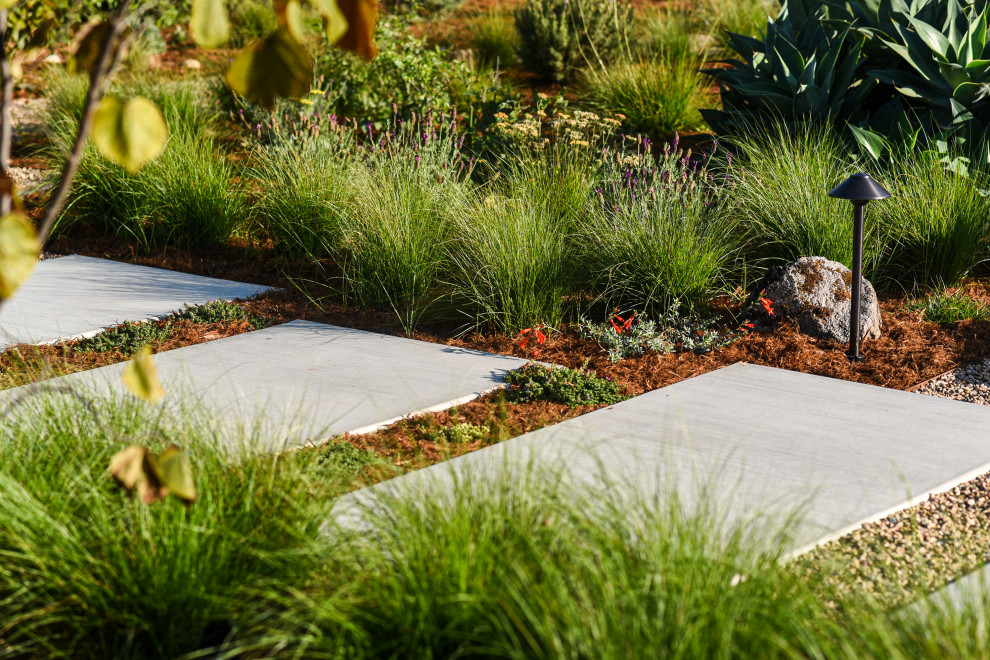 Immagine di un giardino xeriscape moderno esposto in pieno sole di medie dimensioni e dietro casa in estate con pavimentazioni in cemento