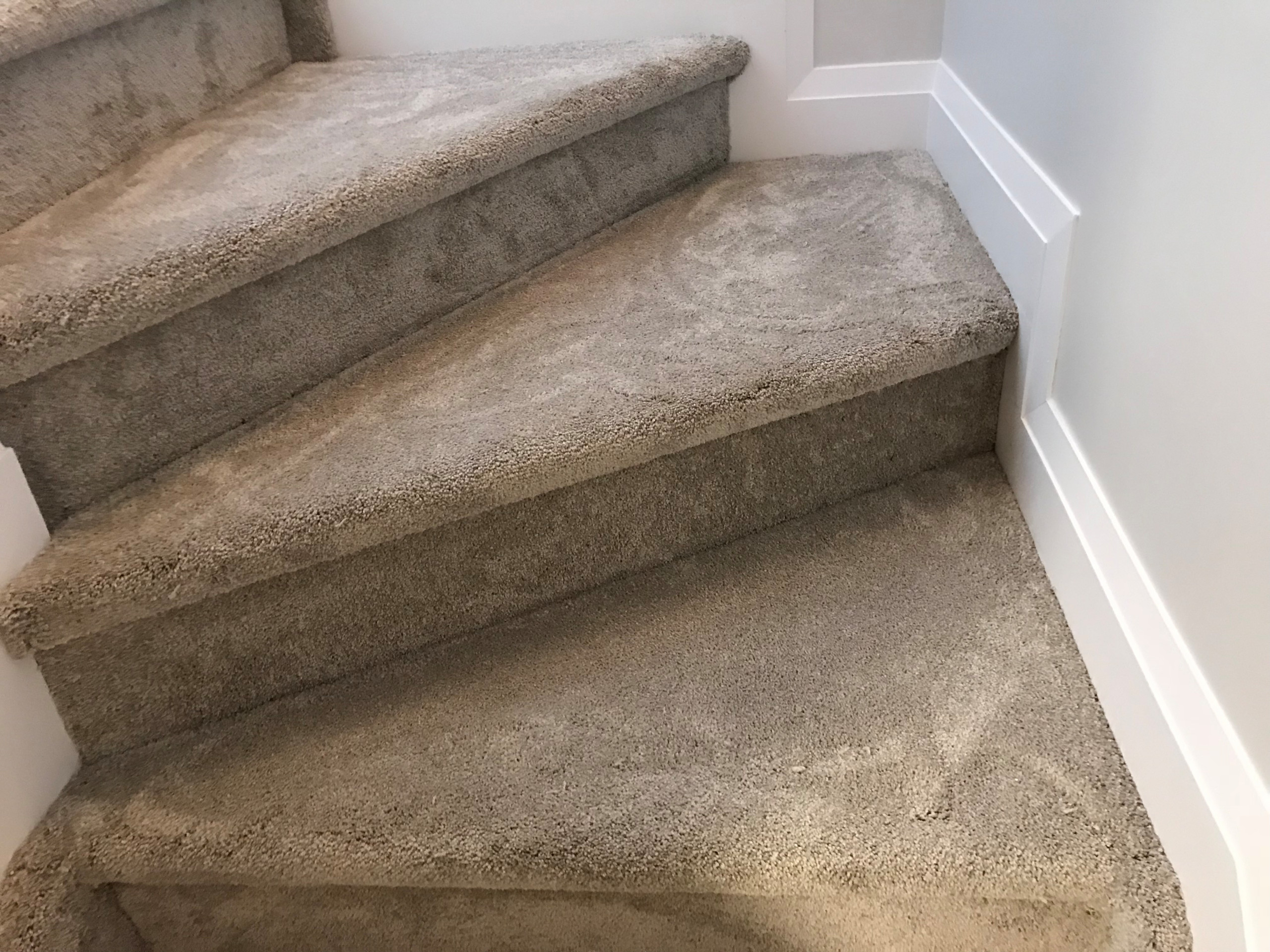Carpet
