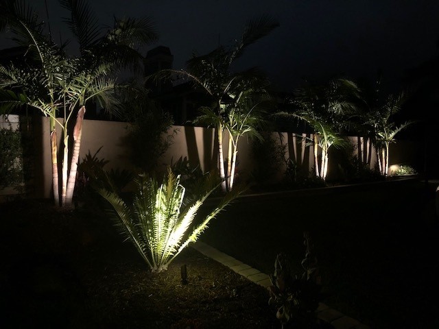 Landscape Lighting