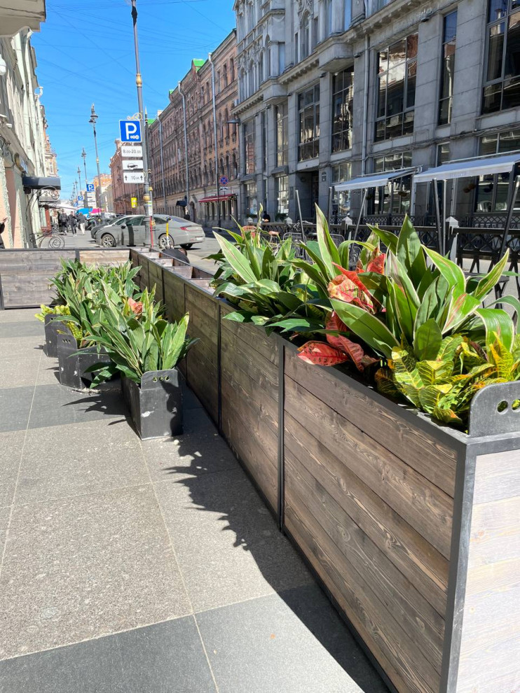 Ресторан FRANK на Рубинштейна г. Санкт-Петербург