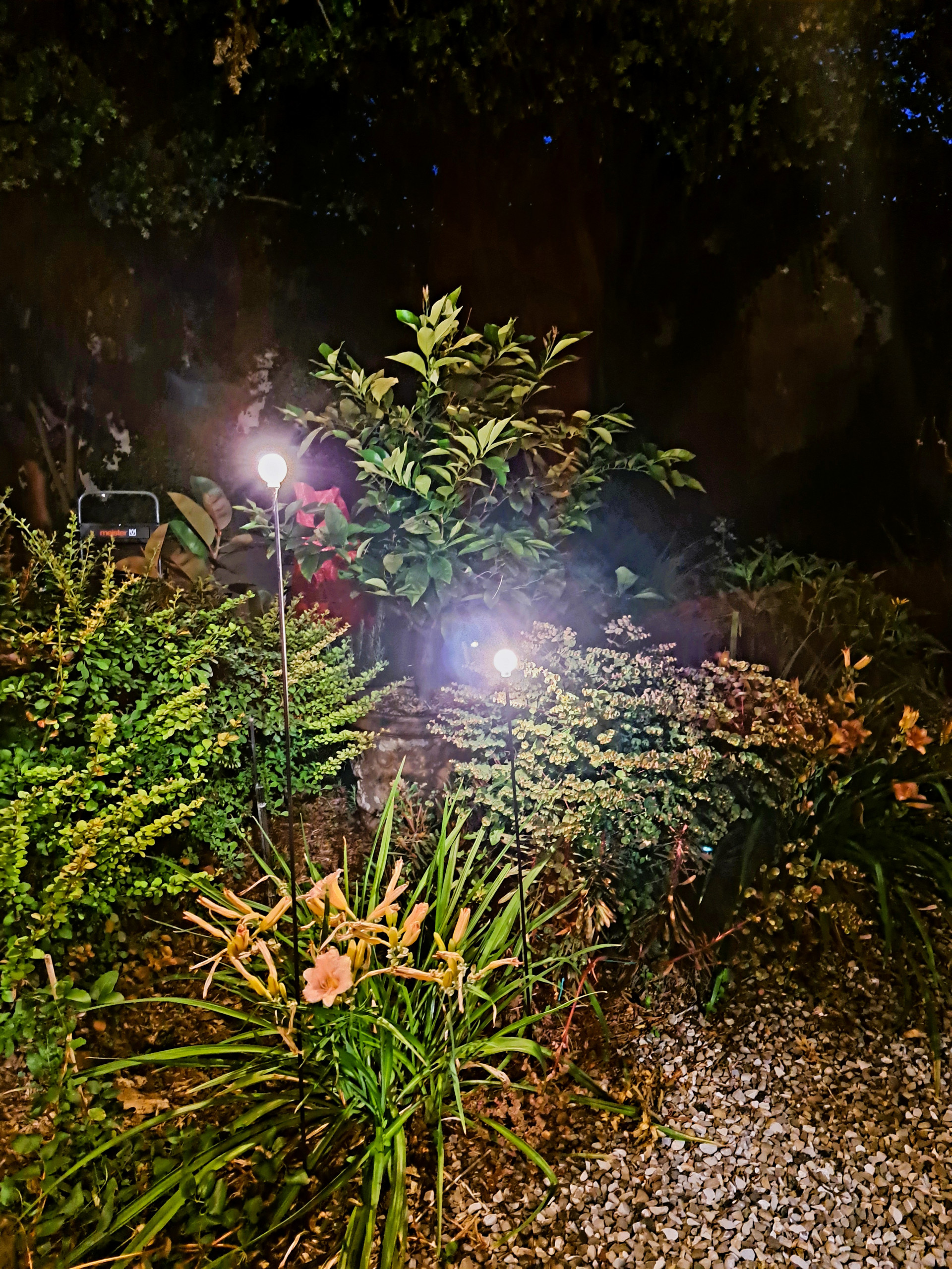 Giardino privato P.S.