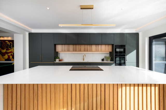 Forte modern-kitchen
