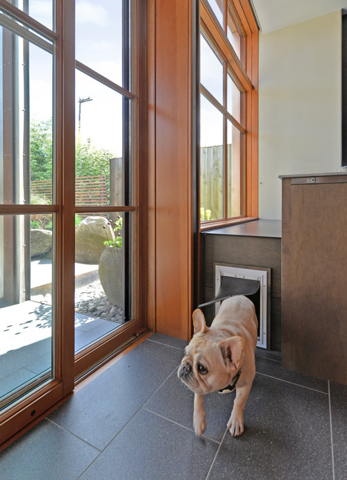 8 Types Of Pet Doors How To Choose The Best One For Your Home - Wall Mount Pet Door Install