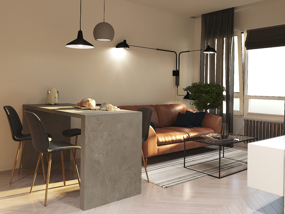 Однокомнатная квартира для студента. Дизайнер Евгения Астахова