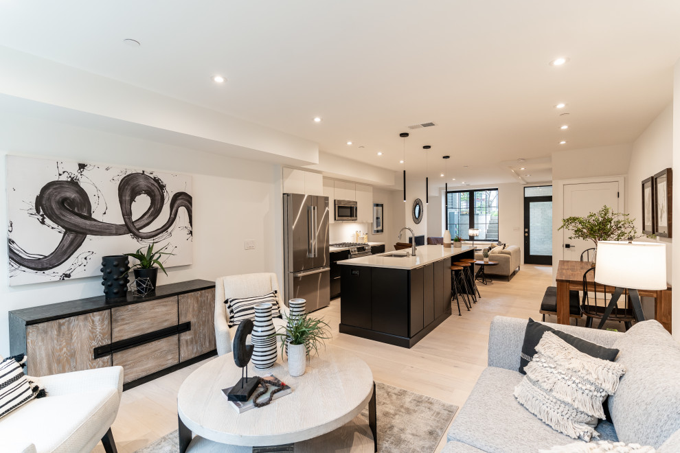 Southwest DC Duplex Renovation