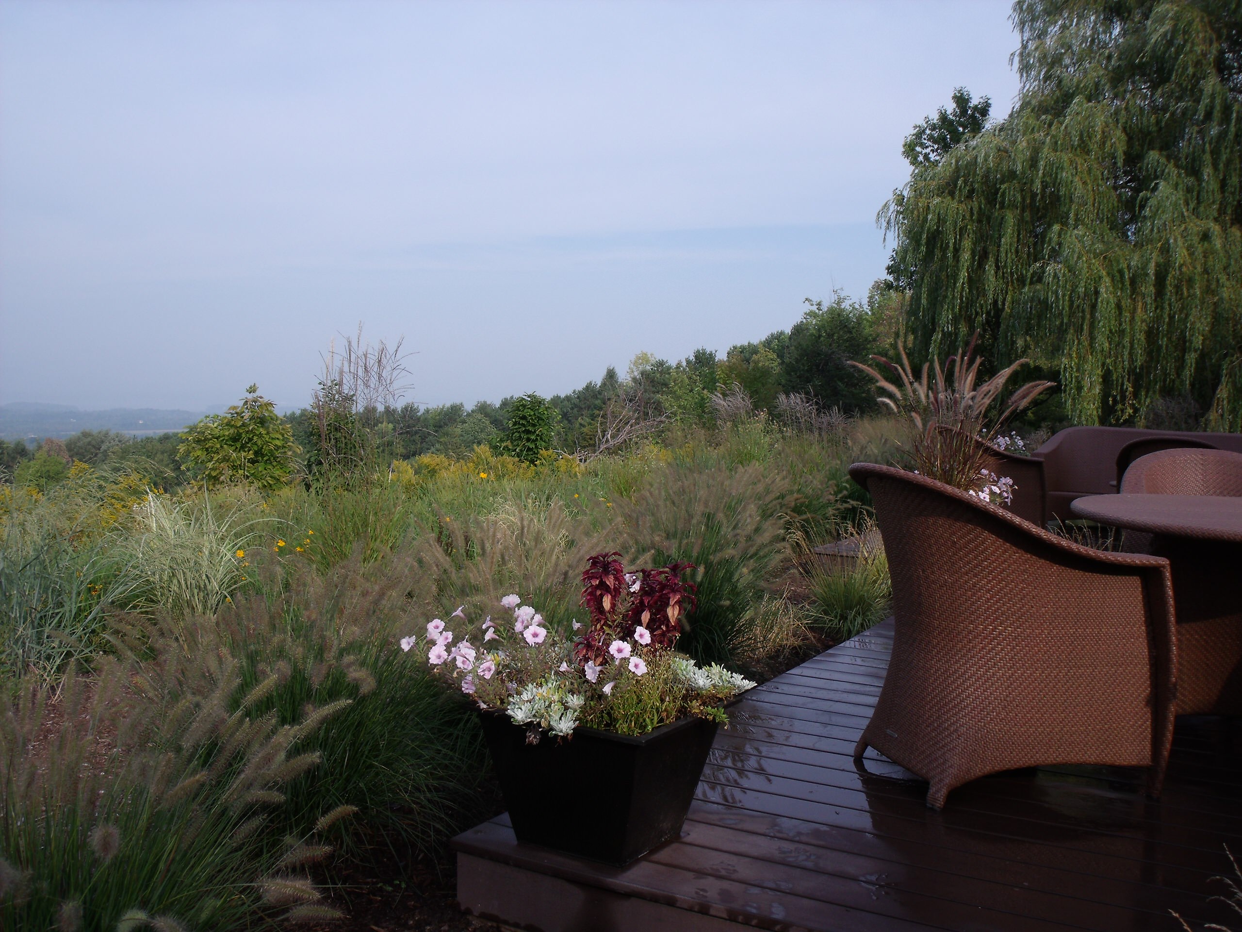 Mount Philo Residence