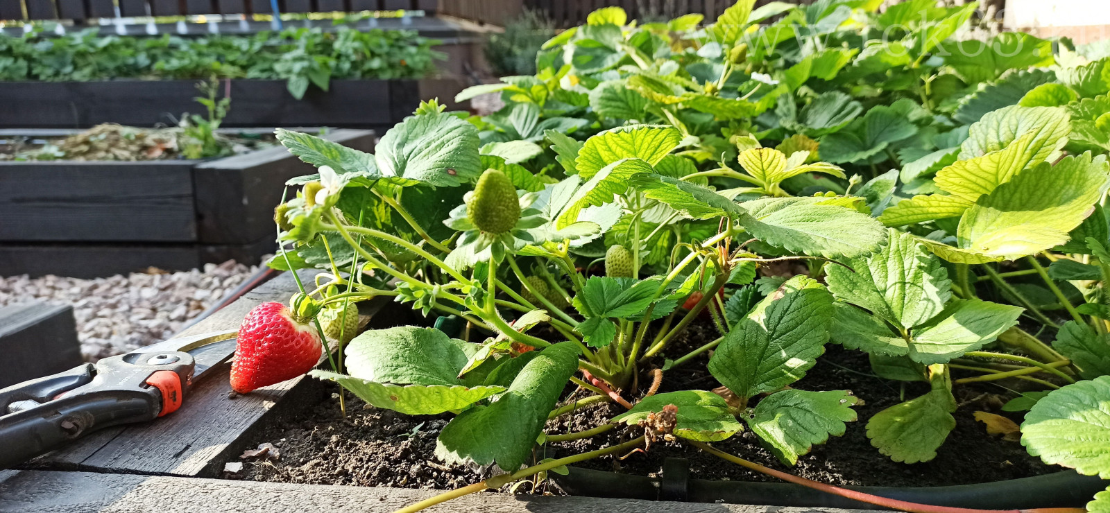 Объект 11 соток. Реализация 2020