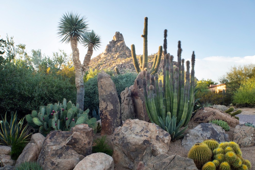 Desert Landscapes - Southwestern - Landscape - Phoenix - by Trademark ...