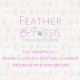 Feather&Fossil Interior Design