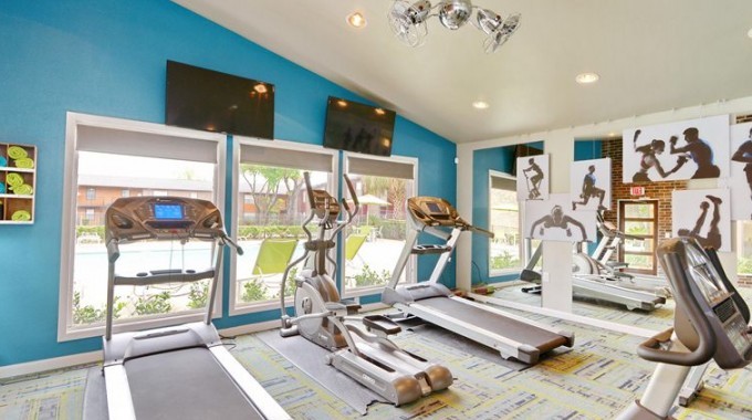 Mid-sized modern multipurpose gym in Houston with blue walls and carpet.