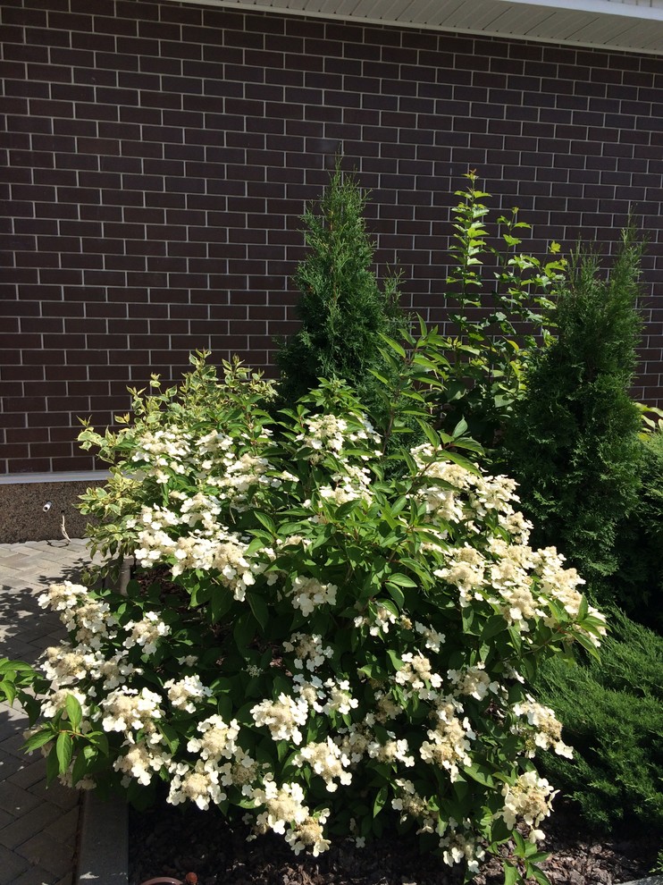 Вавиловец 1