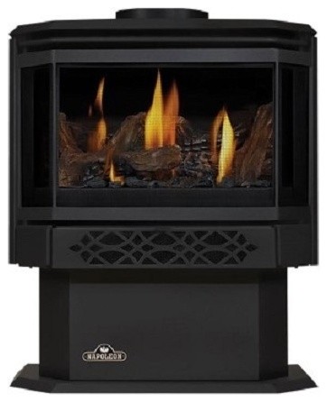 Napoleon Haliburton Gds28 Direct Vent Gas Stove Traditional