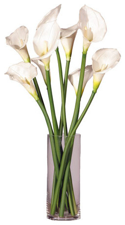 Vickerman White Callas Lily's in Glass Cylinder
