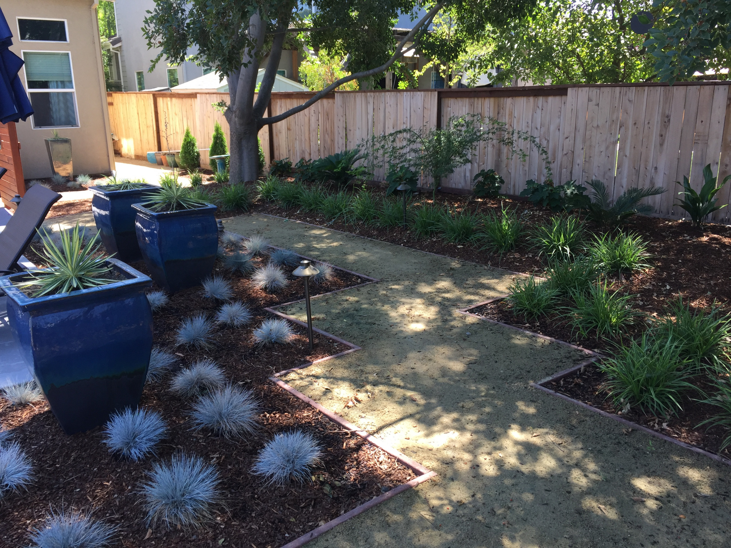 Elk Grove Remodel with Pool
