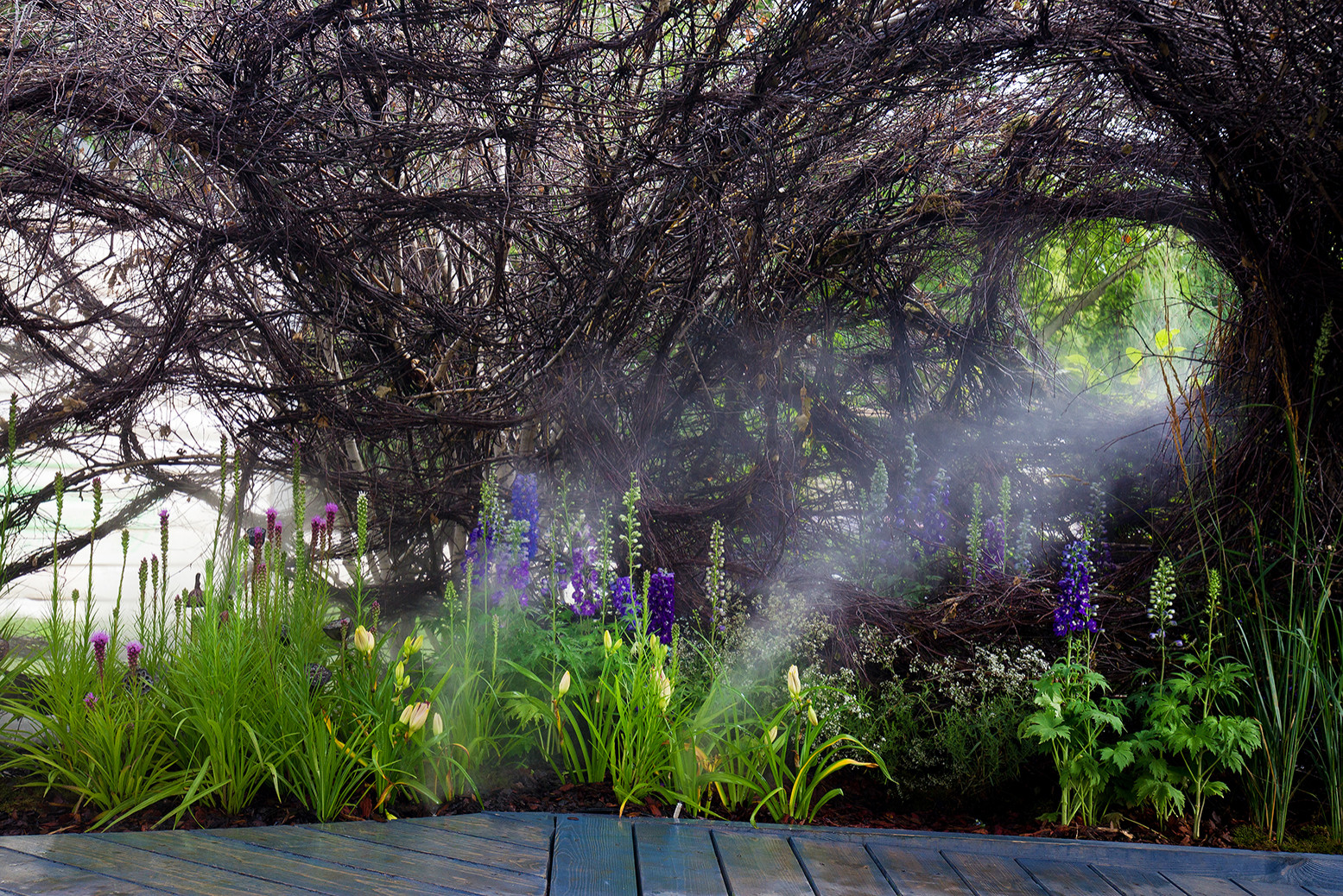 Фотосъемка Сада   по  Метрелинку на MFS 2019 Авторы М,Береснева М. ПРИНТЦ