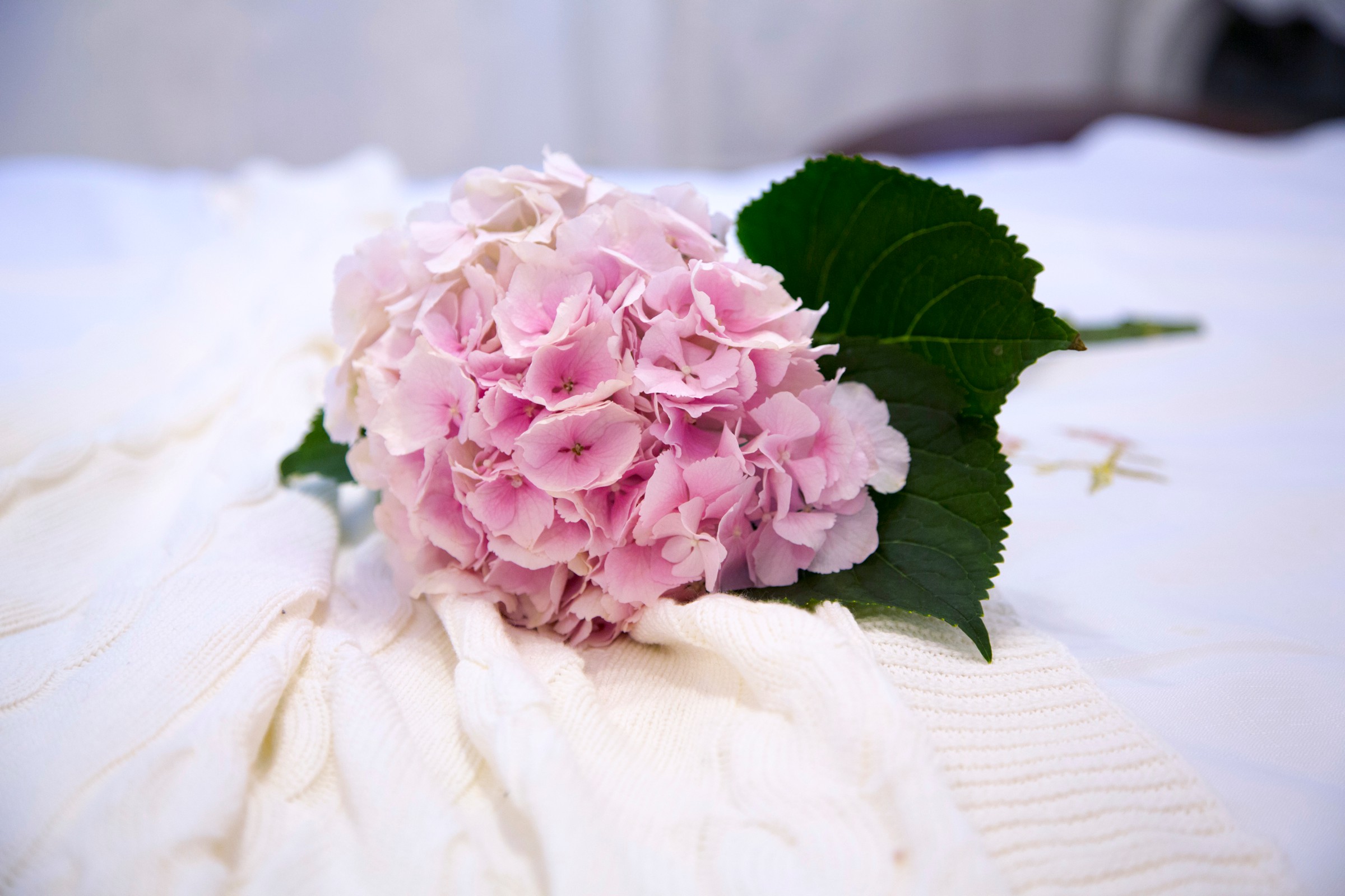 Интерьер студии