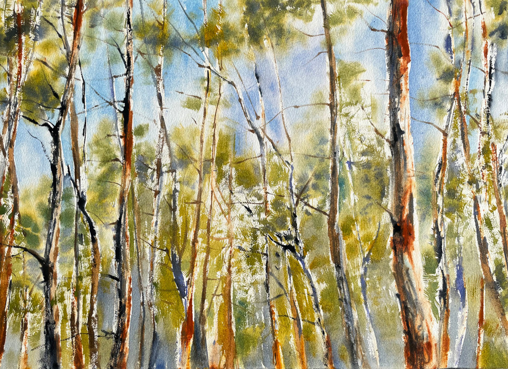 Возвращения