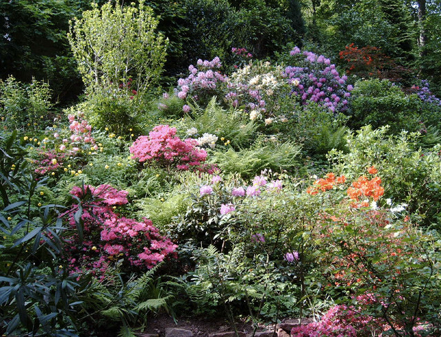 Garten contemporaneo-giardino