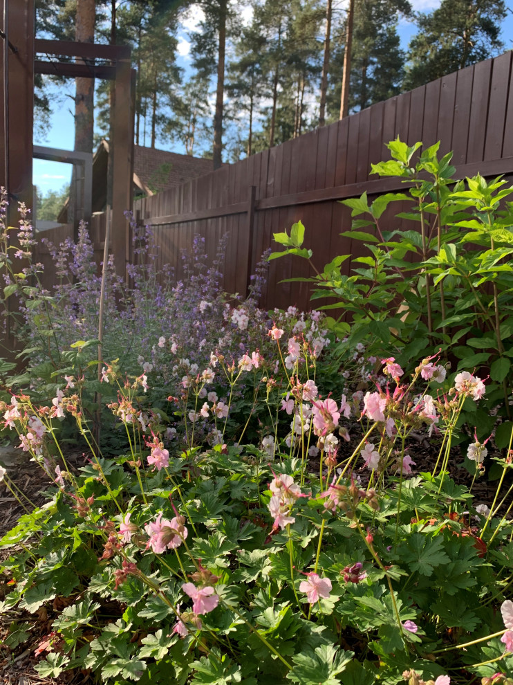 На солнечной поляне