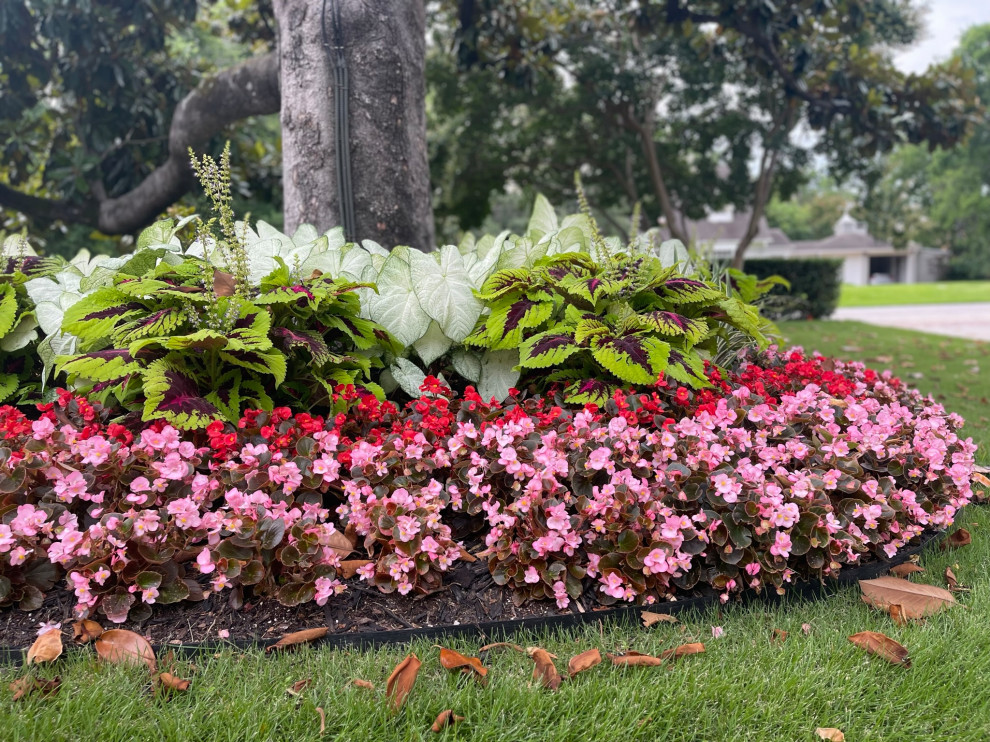 M Streets Floral Landscape & Outdoor Oasis