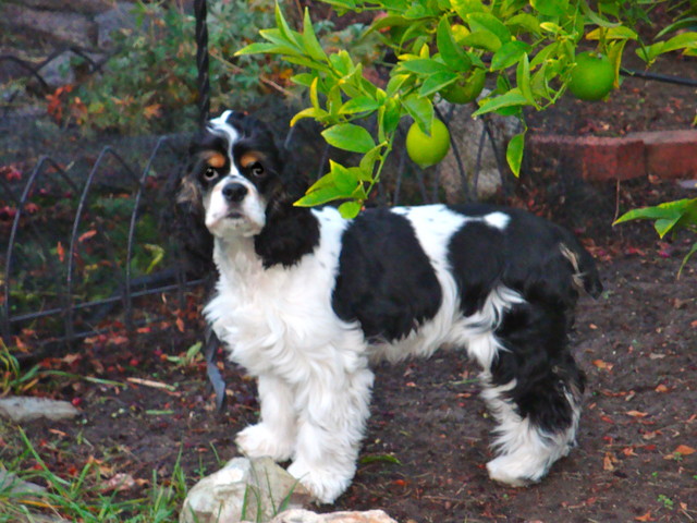 DSC00735.JPG 