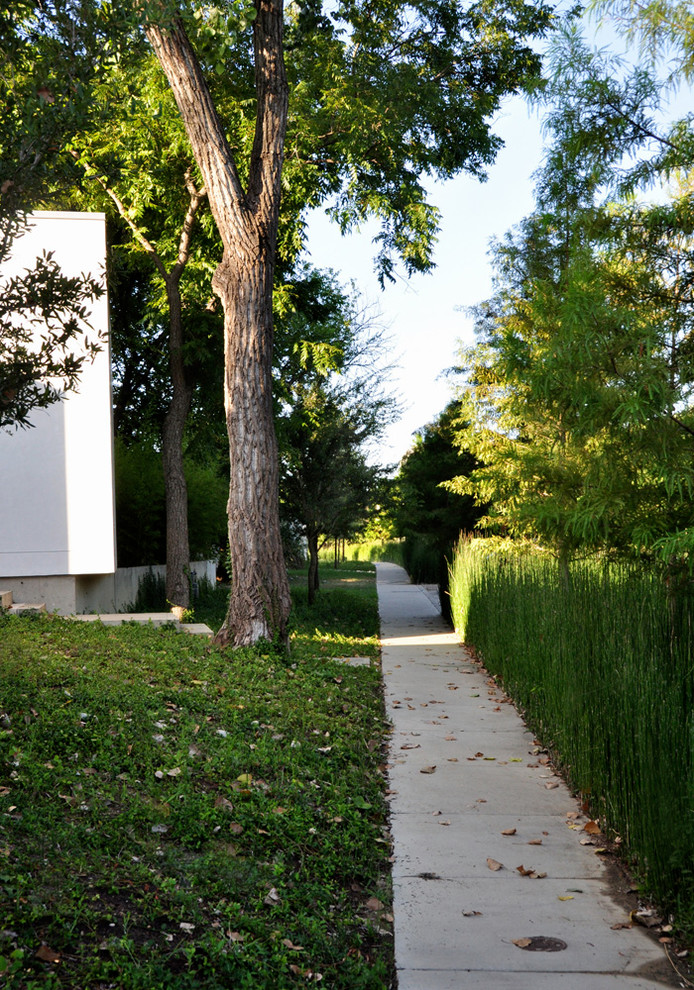 Photo of a contemporary garden in Dallas.