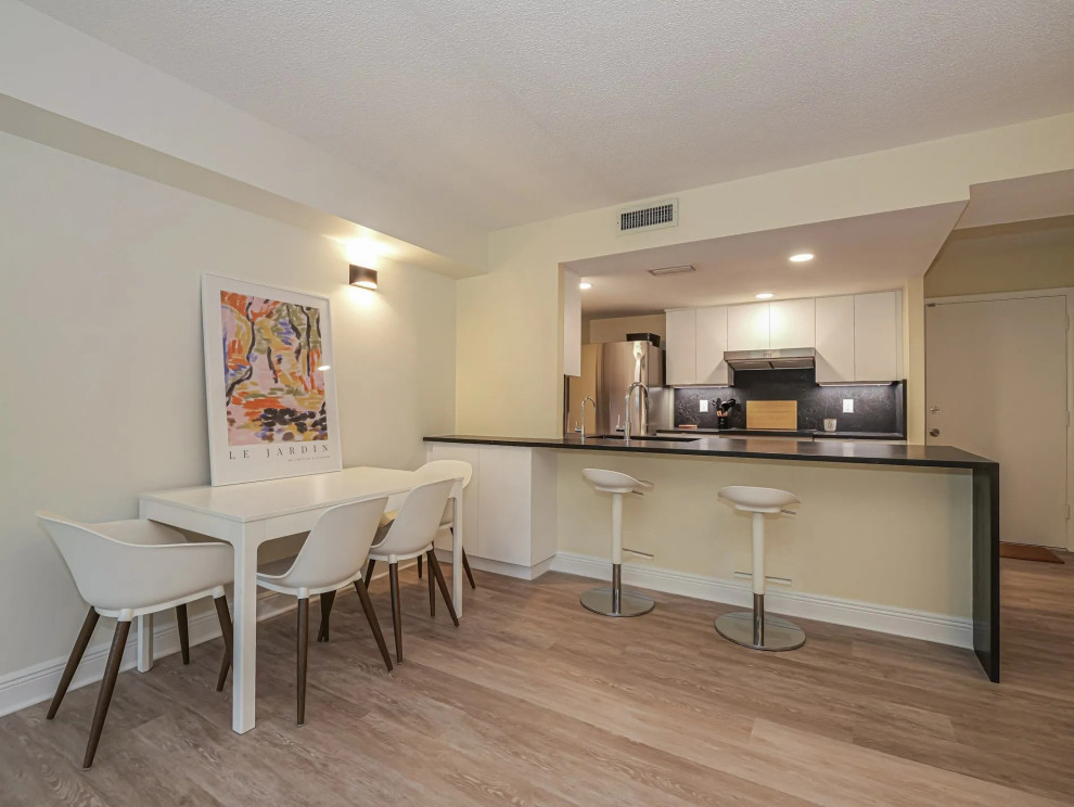 Condo Kitchen Renovation