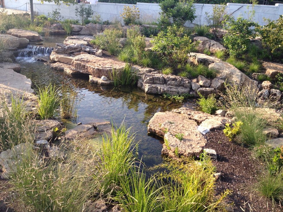 Aquascape Ecosystem Waterfall Pond Installation Shedd Aquarium Traditional Landscape New York By Acorn Ponds Waterfalls