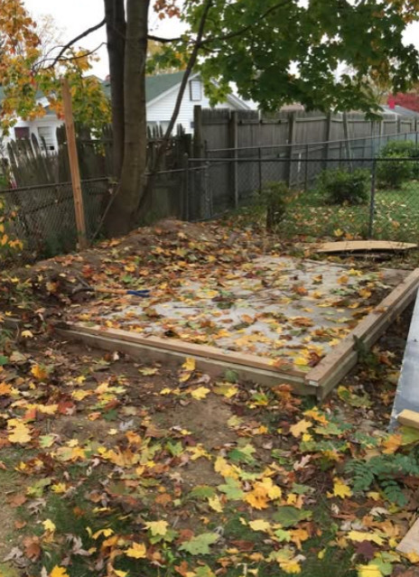 Backyard Shed
