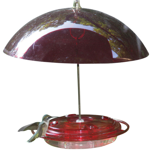 8 Oz Hummingbird Feeder With Dome Contemporary Bird Feeders