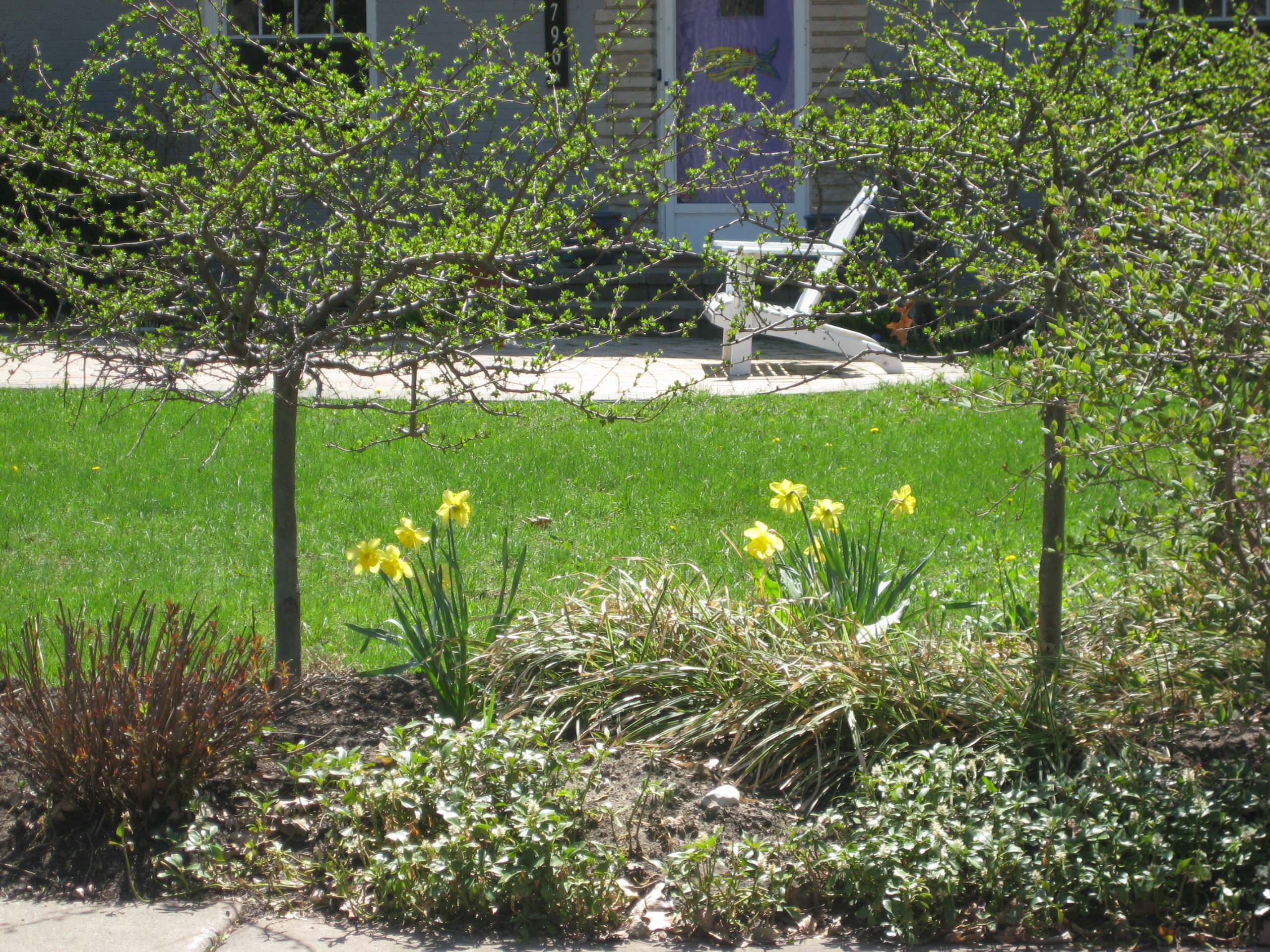 North Shore Landscaping 2014