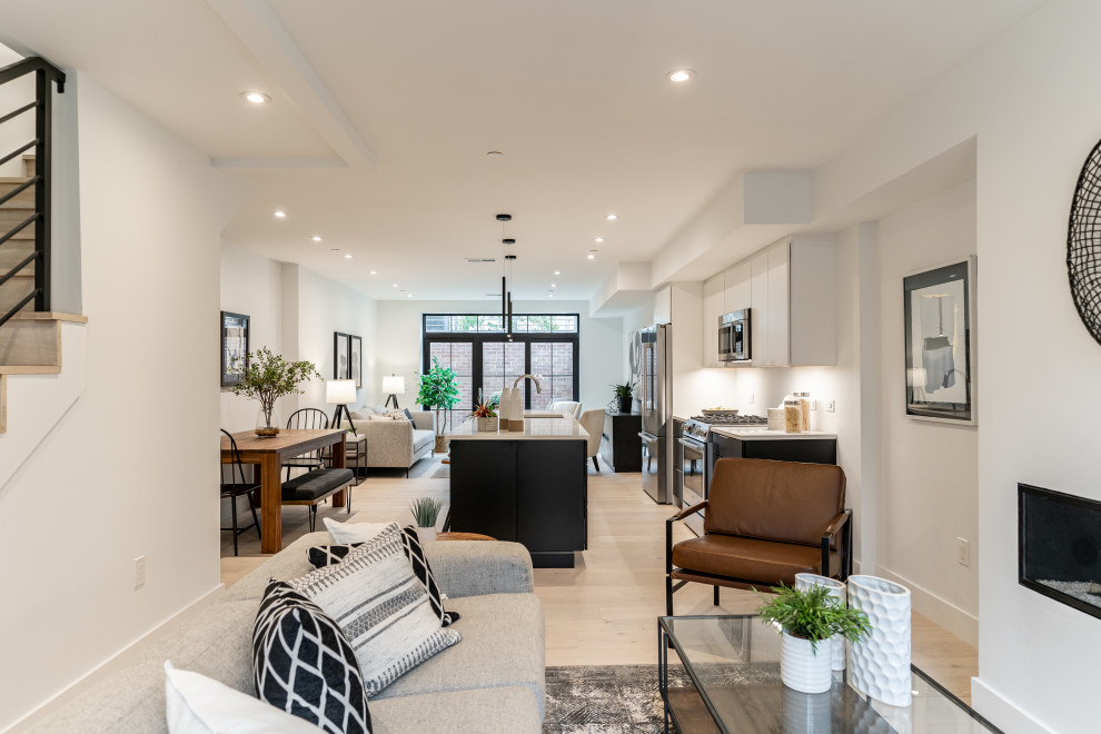 Southwest DC Duplex Renovation