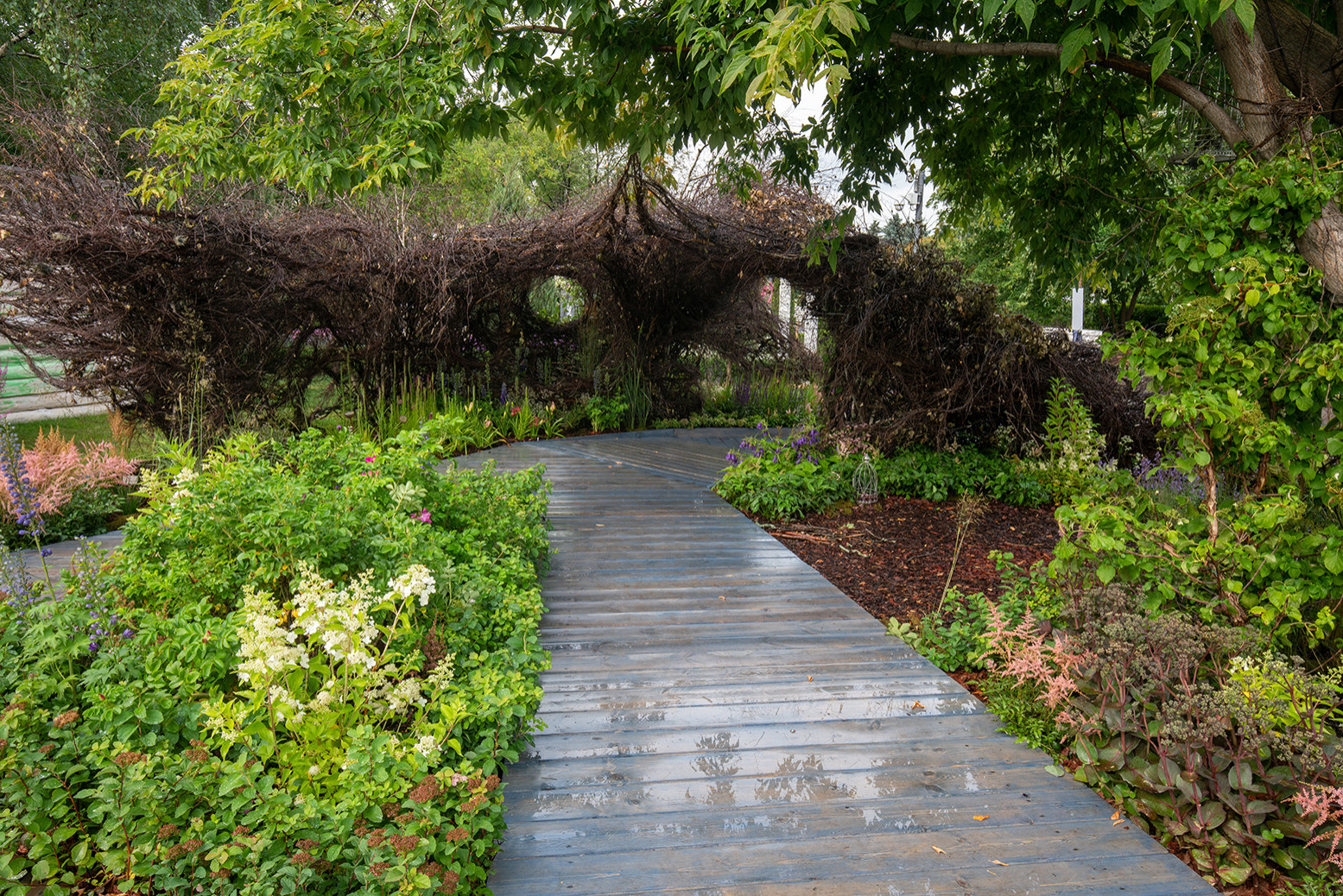 Фотосъемка Сада   по  Метрелинку на MFS 2019 Авторы М,Береснева М. ПРИНТЦ