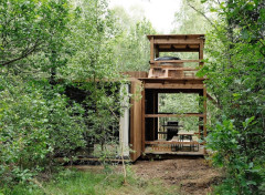 Architecture : Une cabane dans les bois dans les Ardennes belges