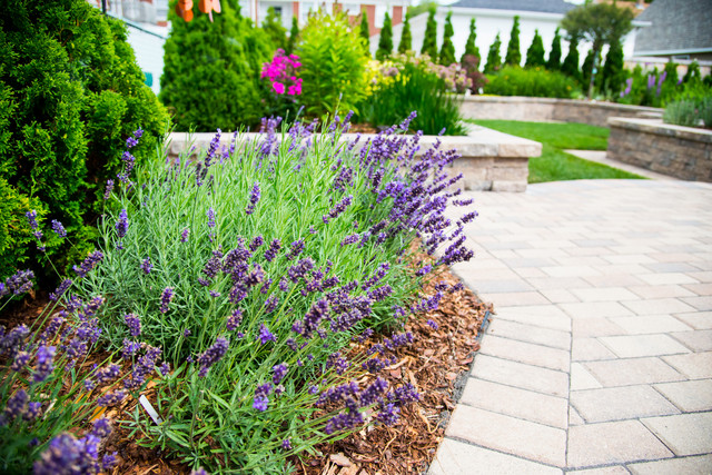 Whitefish Bay Project mediterran-garten