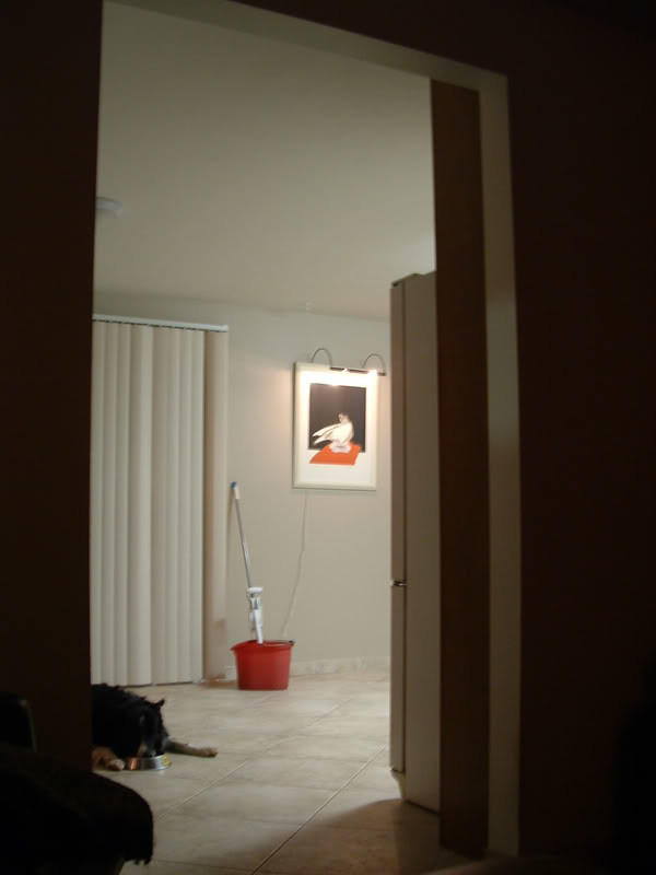 Watching paint dry how long for paint to cure?