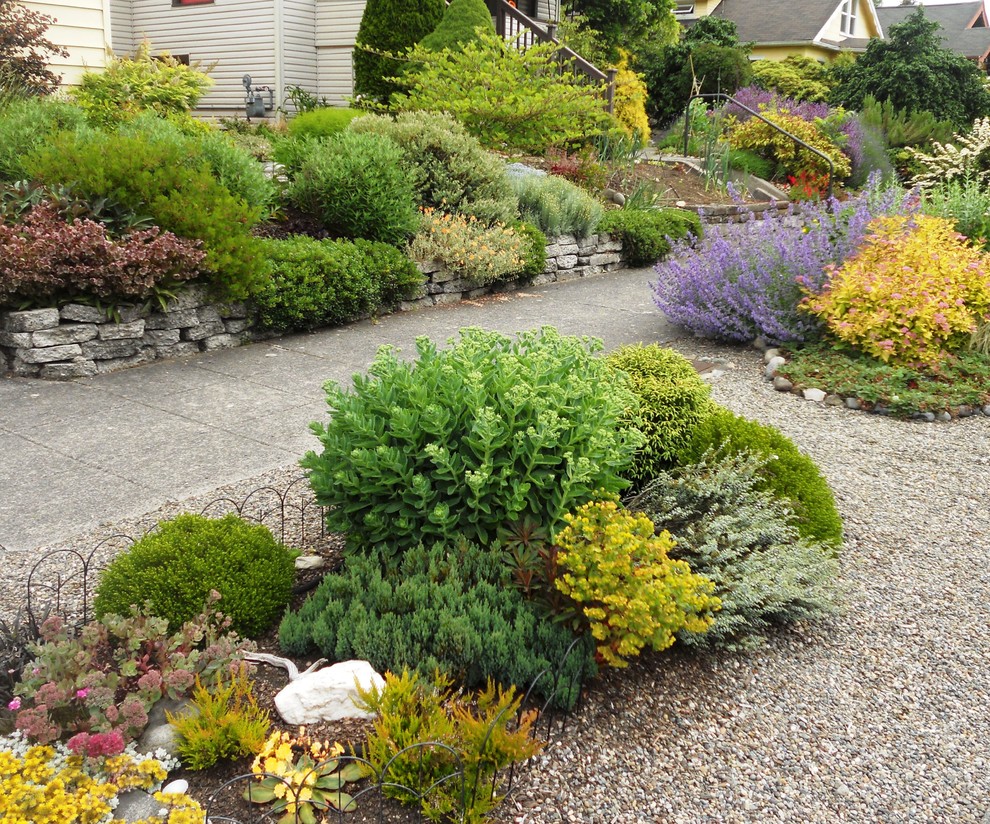 Traditional front yard full sun garden in Seattle with gravel.