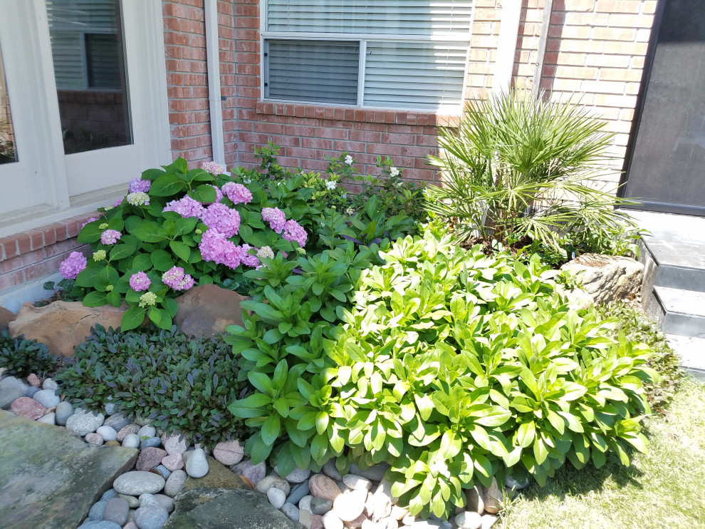 Back Yard Landscape