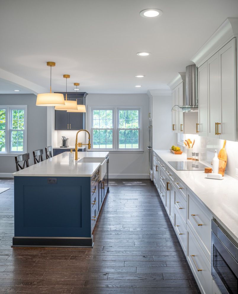 Inspiration for a transitional kitchen remodel in DC Metro