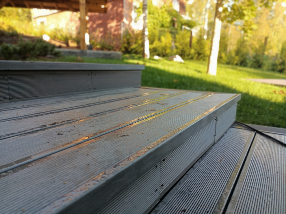 Лесная сказка в Мичуринском