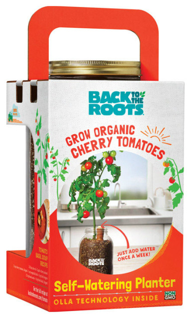 Back to the Roots 25100 Self-Watering Planter Grow Kit - Transitional ...