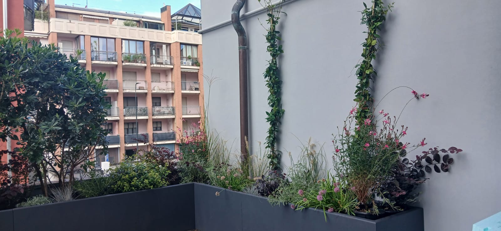 Realizzazione Terrazza dai sapori mediterranei