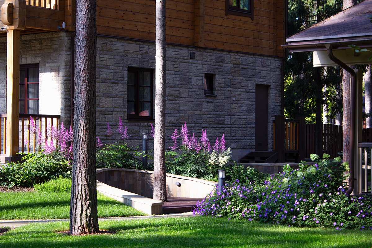 Еловая аллея