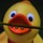 ginger_werz_petricka