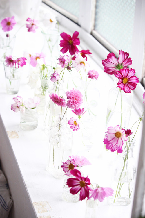 季節の花や葉を部屋で楽しむ 庭花あそび のすすめ Houzz ハウズ