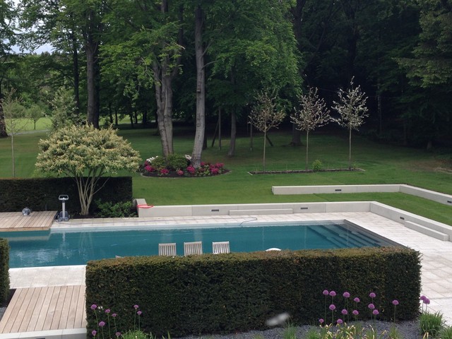 Villengarten mit Pool trendy-pool