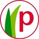 Picconia