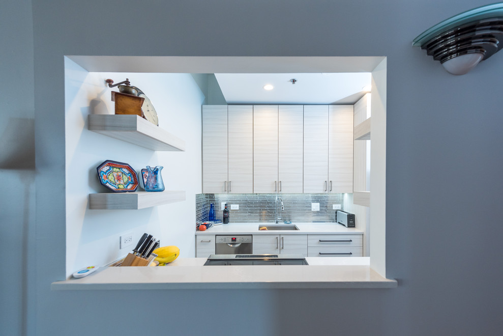 Kitchen - transitional kitchen idea in Chicago
