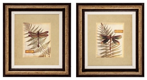 Traditional Wall Art royal dragonfly framed wall art - traditional - prints and posters Traditional Wall Art royal dragonfly framed wall art - traditional - prints and posters