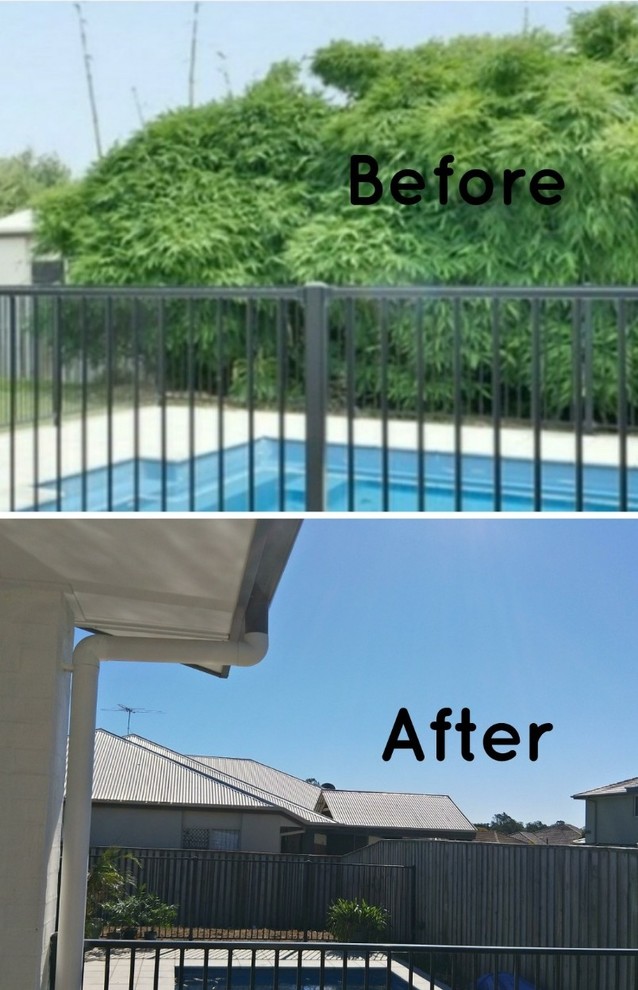 screening privacy from neighbours Houzz AU